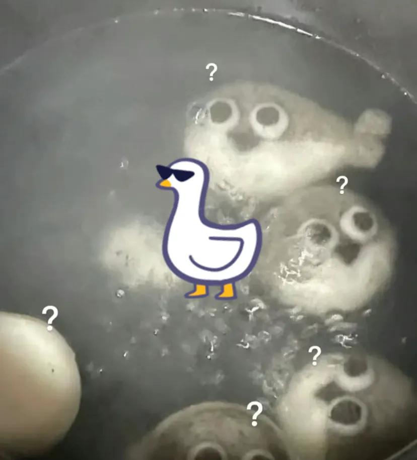 那批说“养不起就别生”的大学生开始出社会别骂合我就是其中之一
主打的有钱就潇洒，