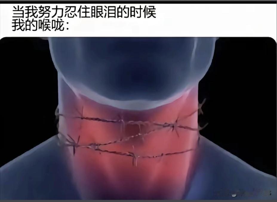 不要羡慕任何人的生活，
不是别人风光无限，
而是他们的辛酸你没有看到罢了。
其实