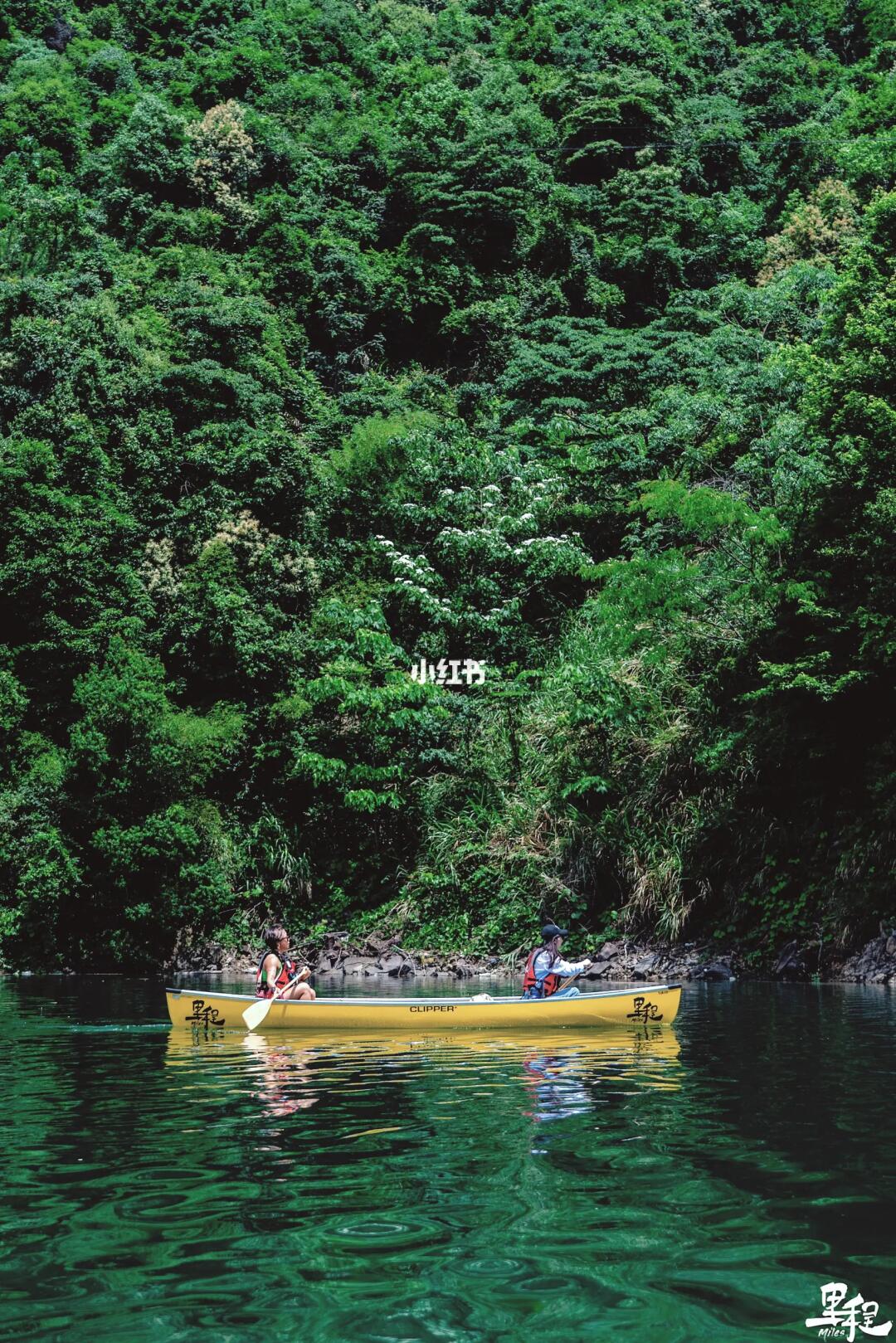 朋友请跳船🚣那些划独木舟教会我的事😝