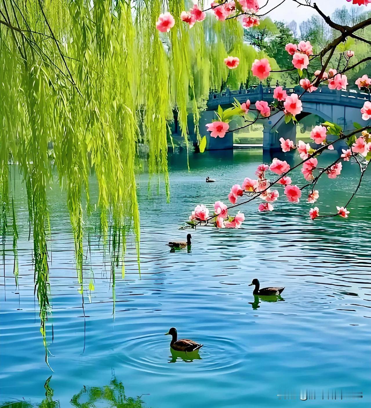 上联:雨湿桃花梦(头条)
下联:风散柳叶情(原创)
作者创作简析:(原创)
上联