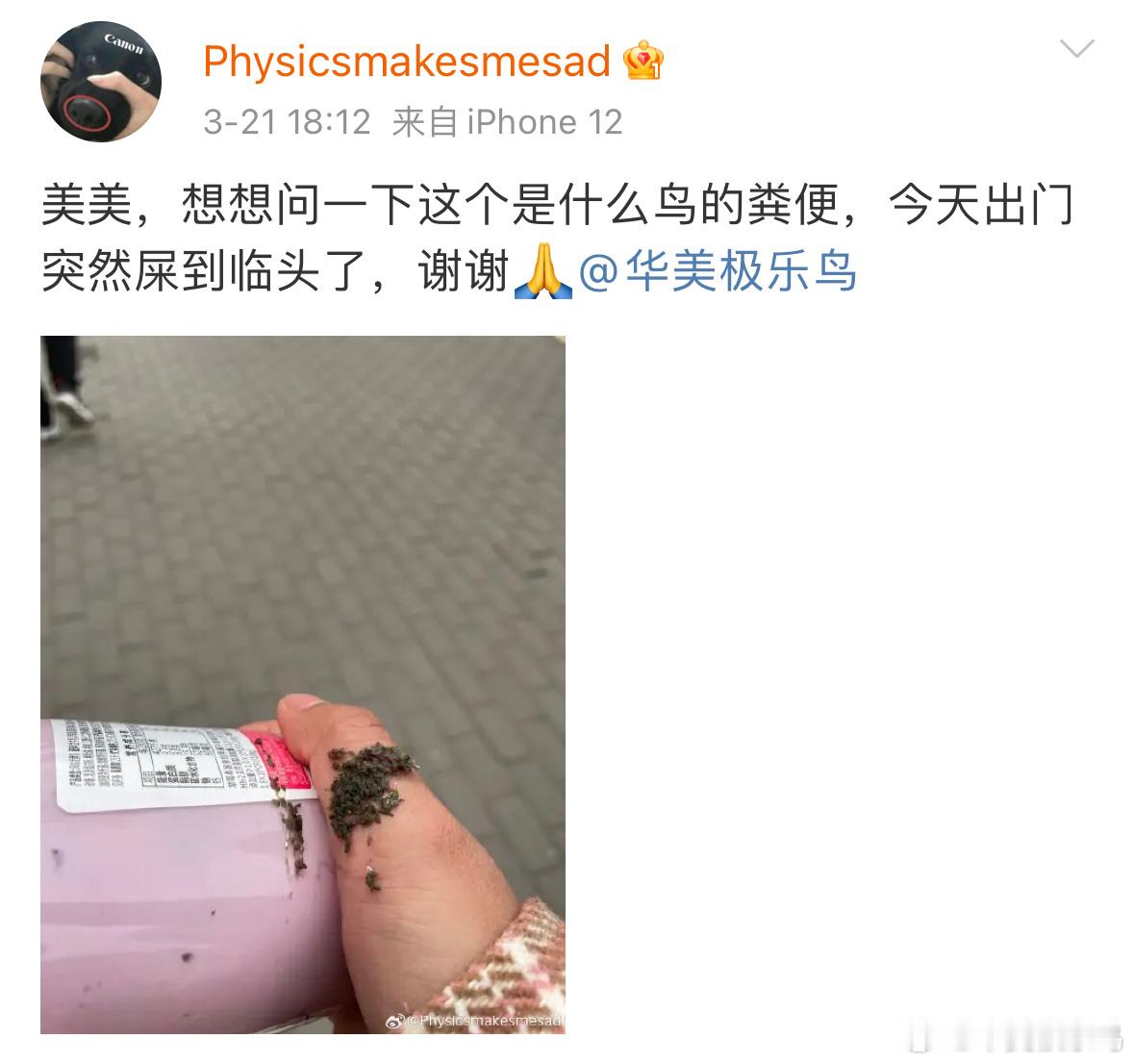 ？？？掠过上空的乌鸫感觉如释重负… ​​​