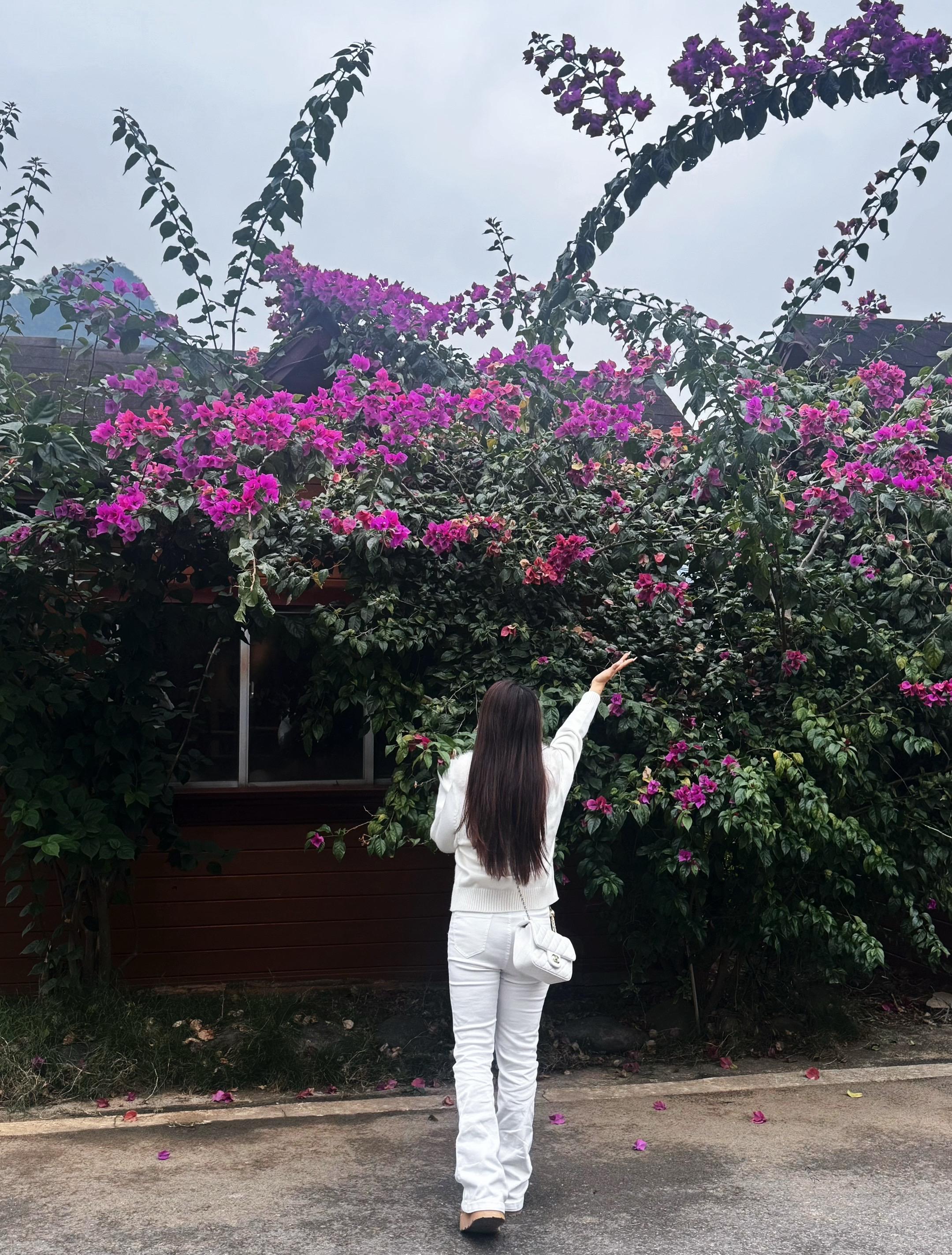 记录生活 大自然