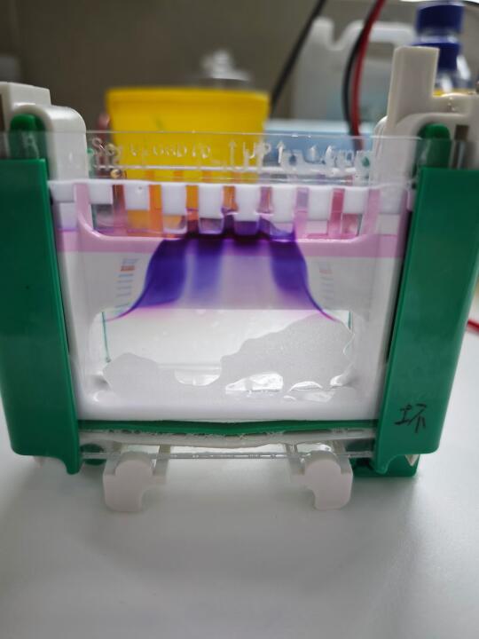 真好 足不出户就能看富士山