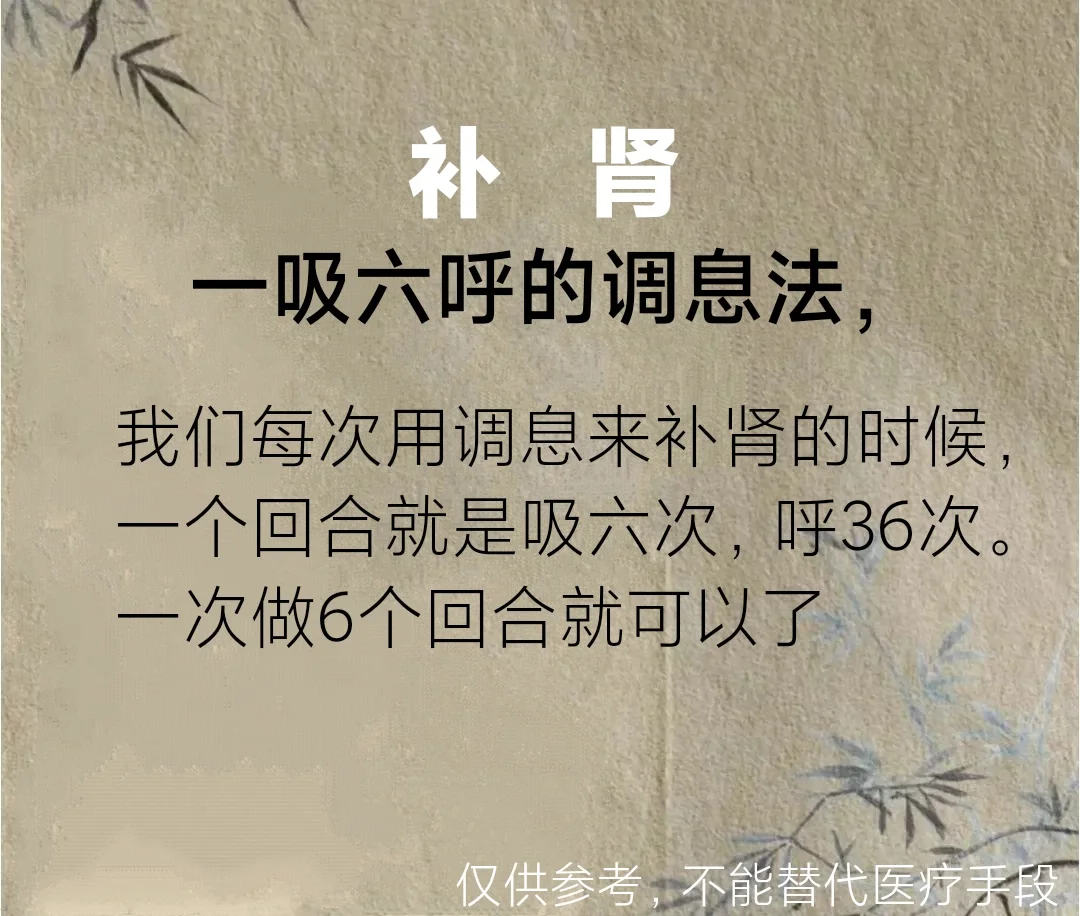每次调息来补肾一个回合是吸6次，呼36次