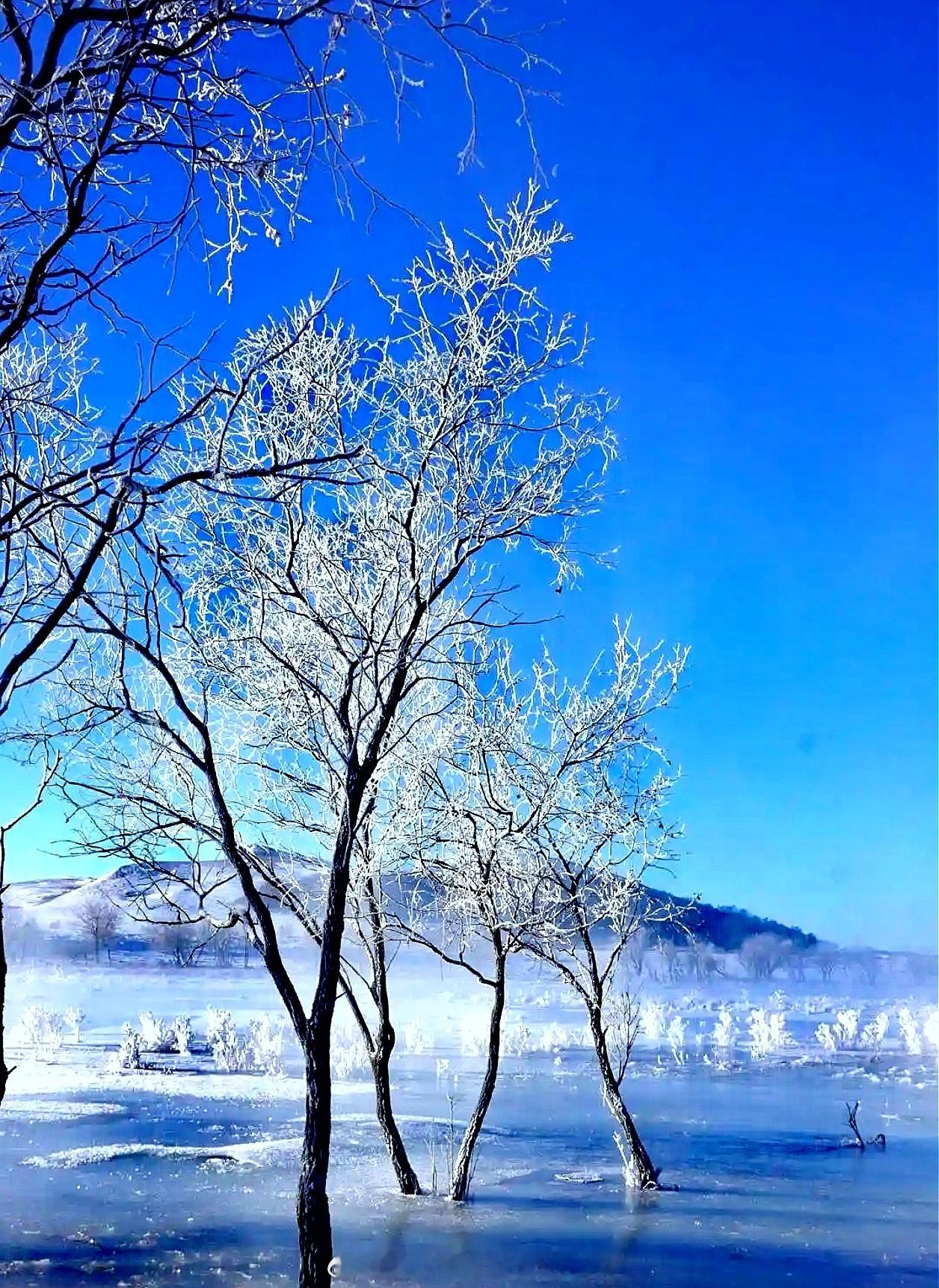 四季更替，烟火流年，风送一缕香，雪落一段情。写的人在塞北，读的人在江南。塞北的风