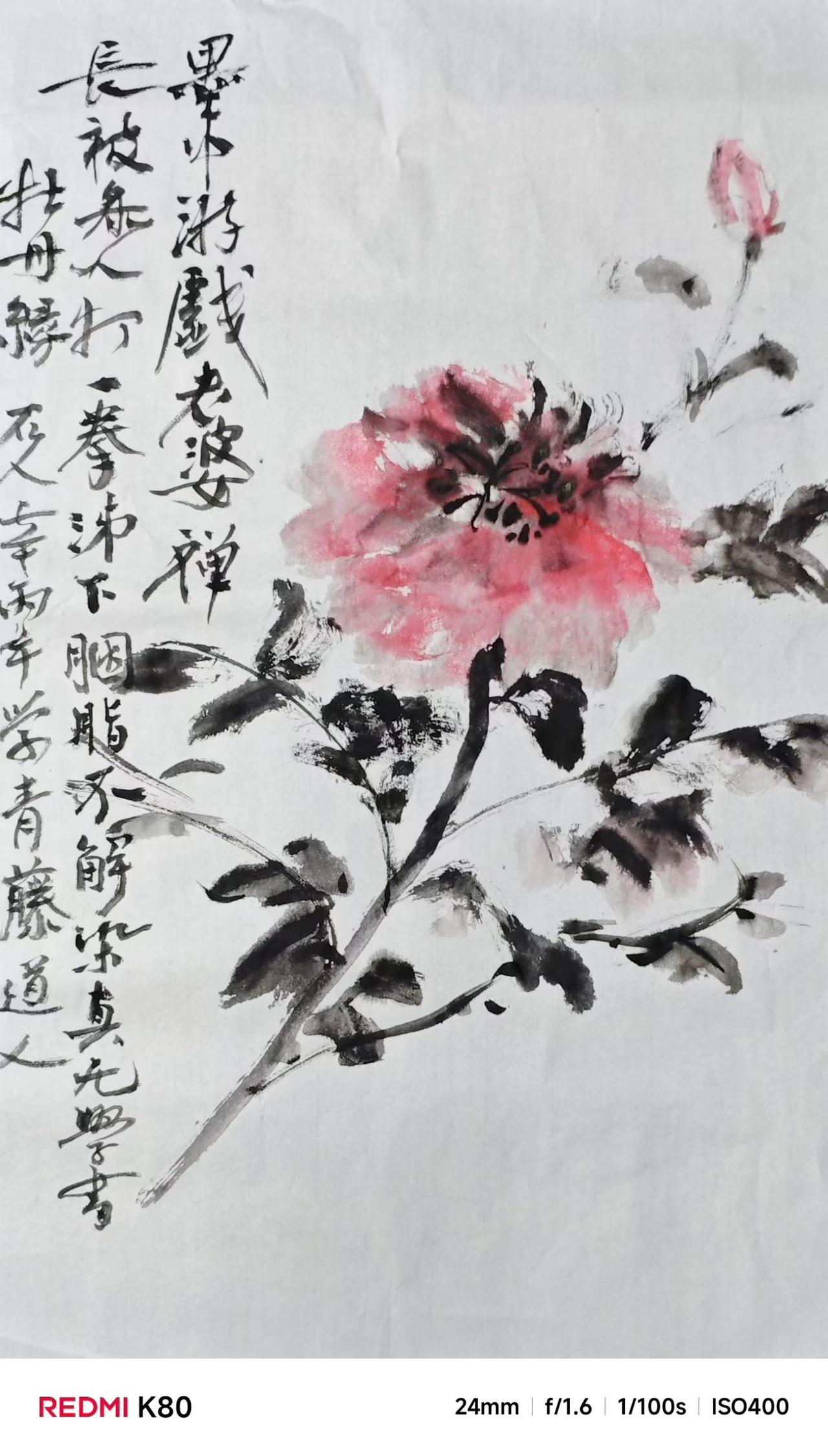 汕头雕像家辛国勤老师的国画牡丹作品。＃汕头头条＃