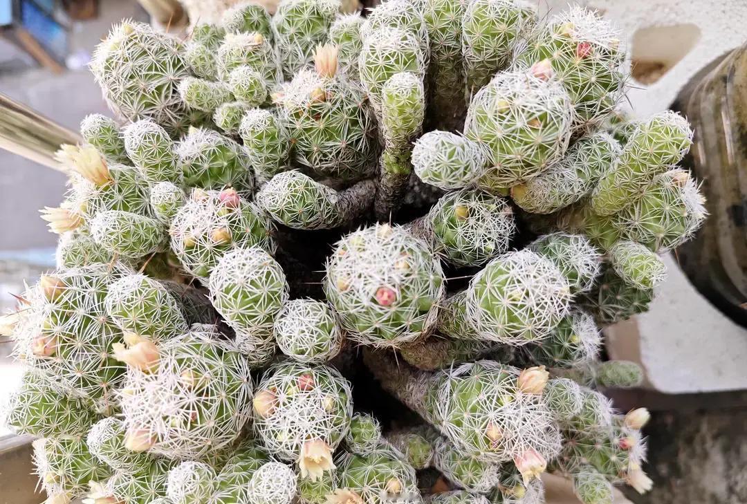 10公里45分，比半马140更难！
 
刚刷完玉林半马，1小时39分，心率还稳。