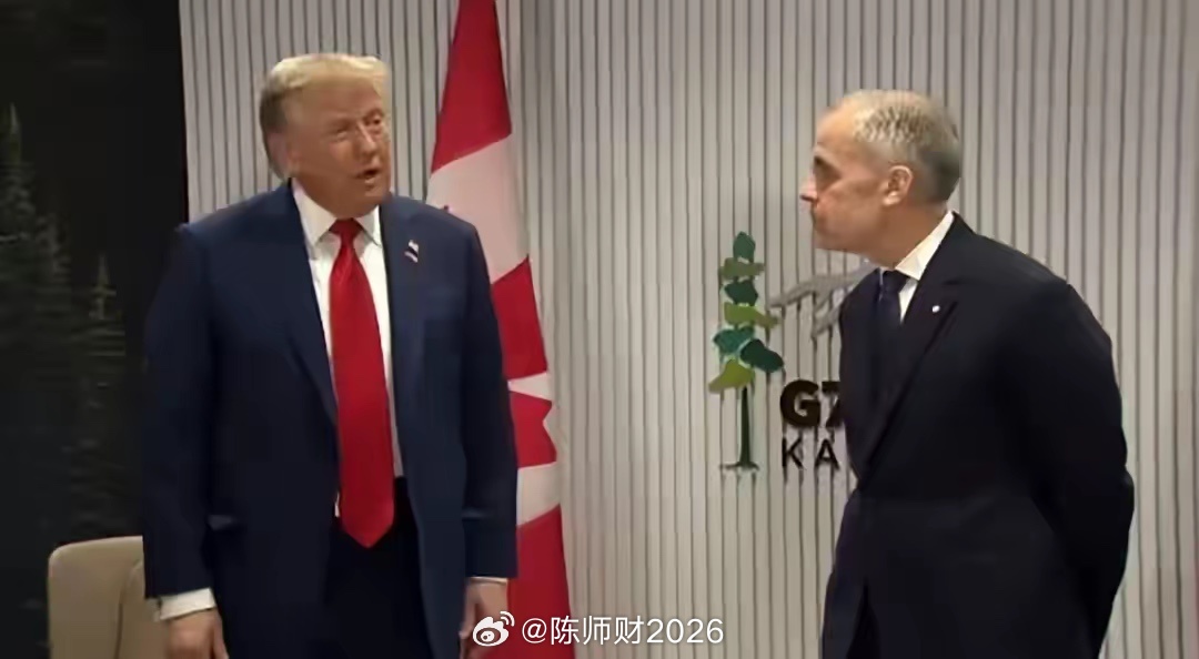 加拿大总理卡尼在G7峰会上告诉美国总统特朗普：“只有不到 3% 的加拿大市场份额