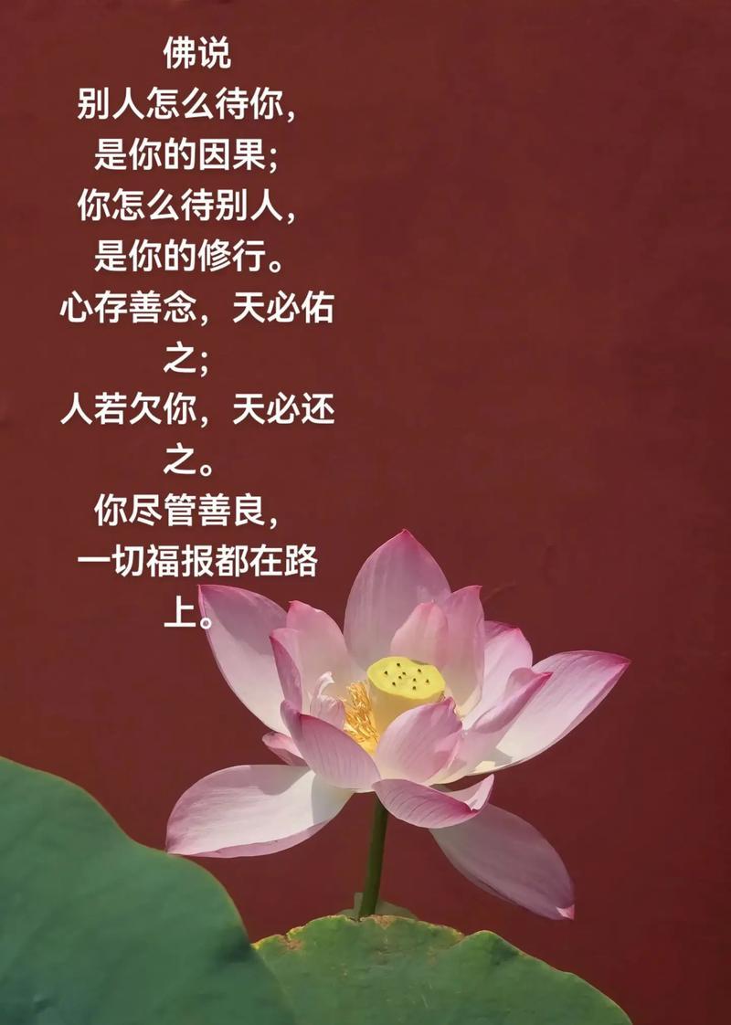 这楼下的小夫妻俩心肠真的见不了阳光！

自己的孩子因感染诺如病毒上吐下泻、发低烧