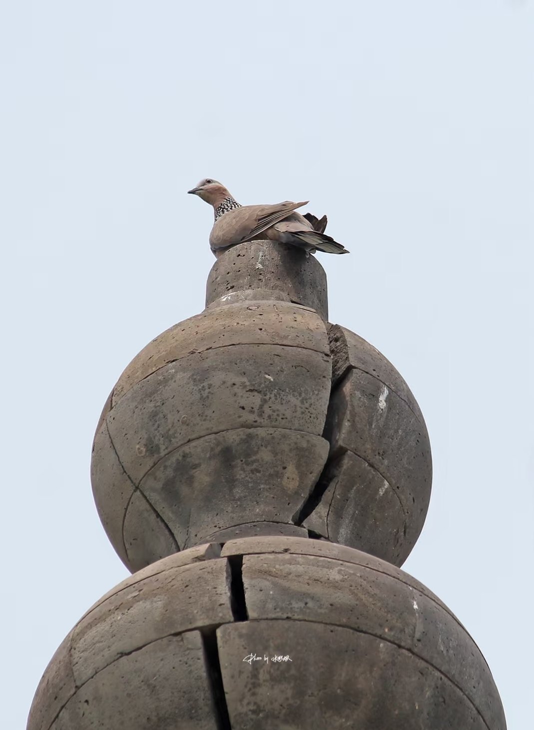 毫无疑问，古咕固是建筑的重要组成部分不愧是建筑大师！ 
