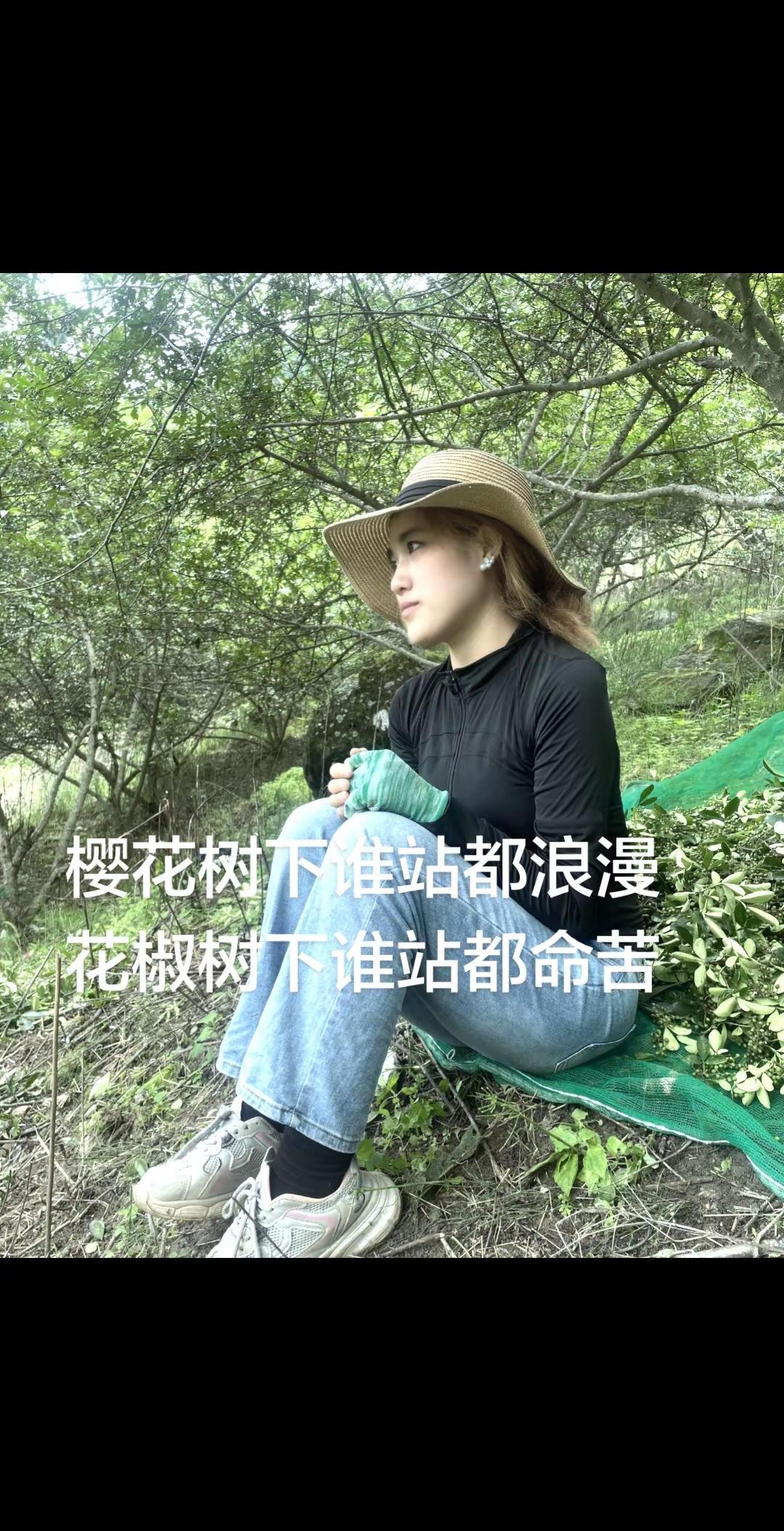 樱花树下谁站都浪漫 花椒树下谁站都命苦