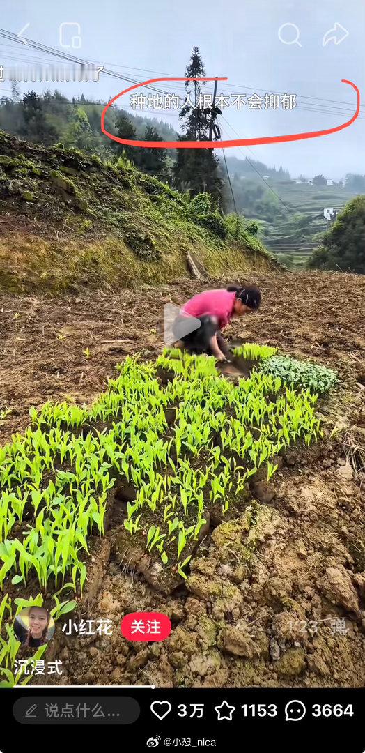 想去种田 ​​​