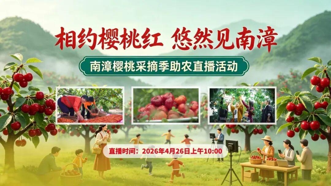 春风十里·“樱”为有你
盼了一年🍒“樱桃”终于红啦！2026“相约樱桃红·悠然