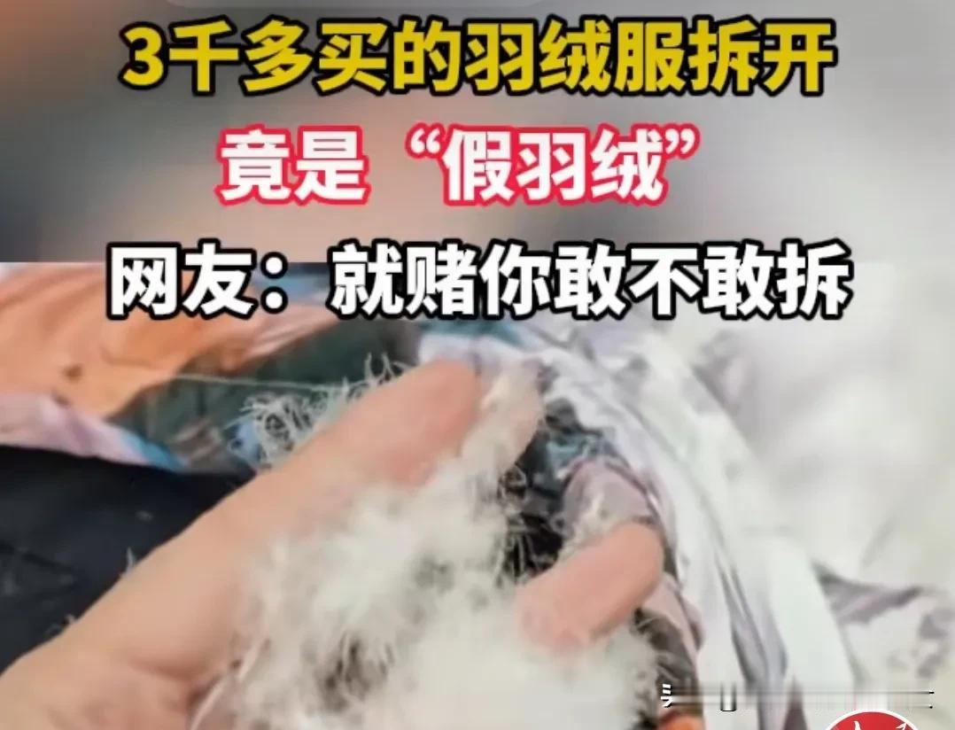 去年，我有个同学开宠物店的，她说狗毛都十元一斤，有人回收。我说要命了，羽绒服不能