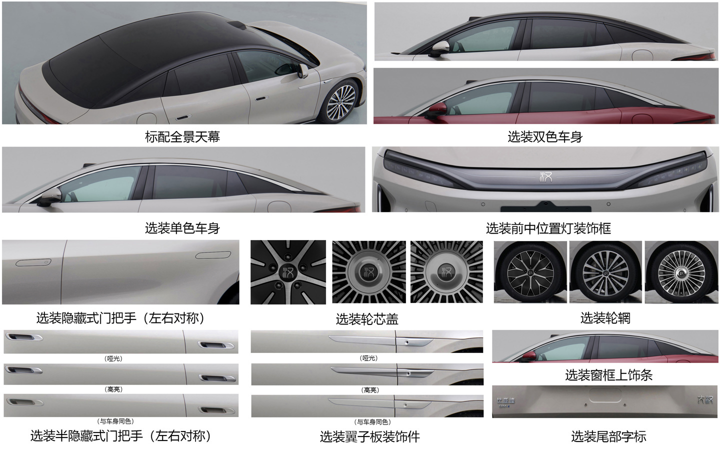 比亚迪开始上强度了。我刚翻完工信部第408批新车申报表，腾势Z赛道版、方程豹S和