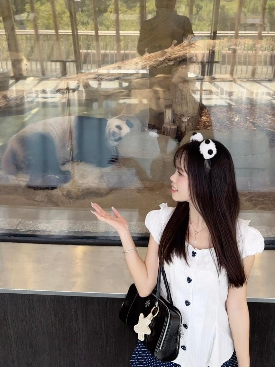 🐼💭：𝗽𝗮𝗻𝗱𝗮 𝗽𝗮𝗻𝗱𝗮 🐾 ˖ 成都·成都大熊猫