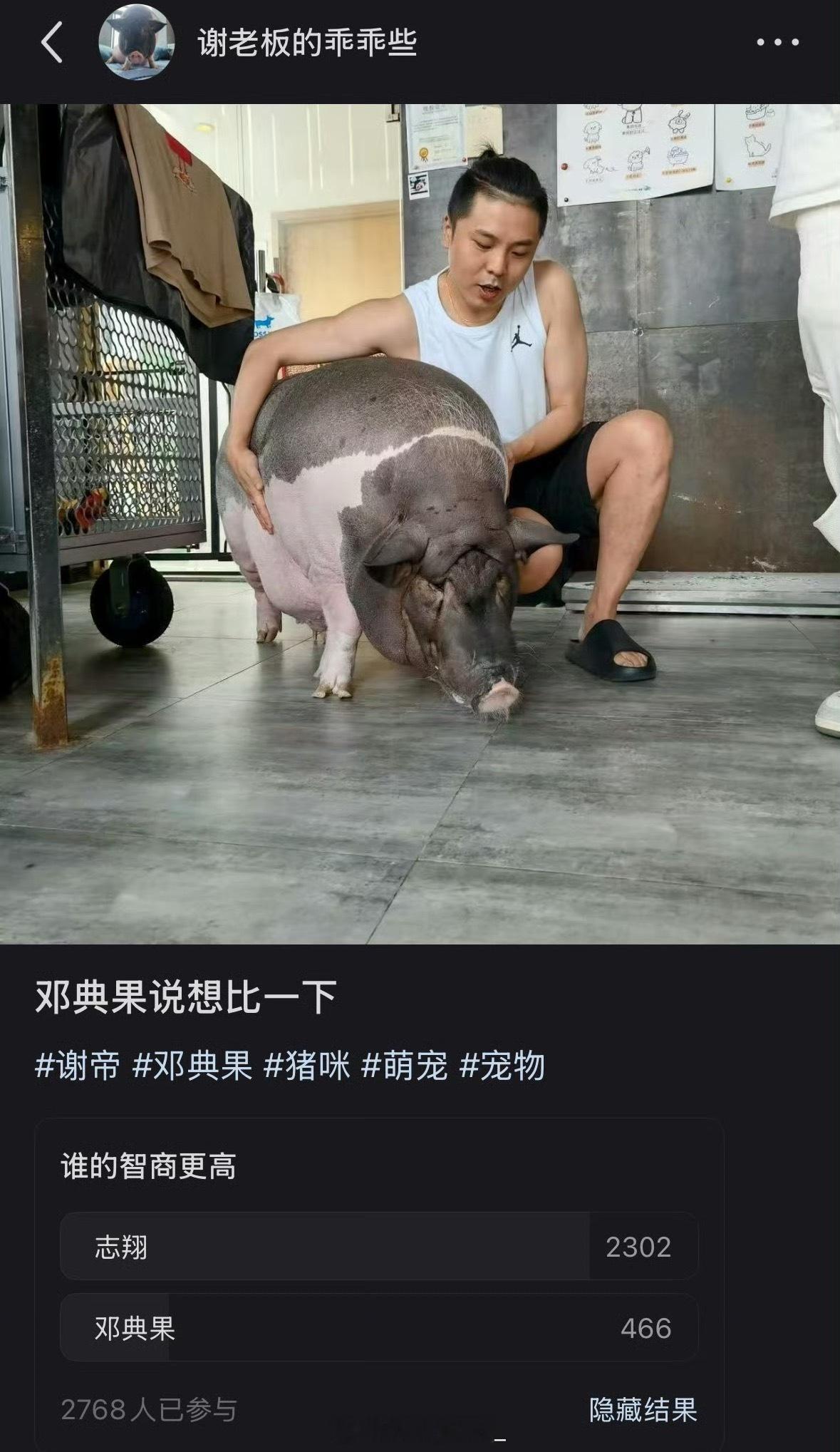 邓典果智商输给了一只猪🐷 ​​​