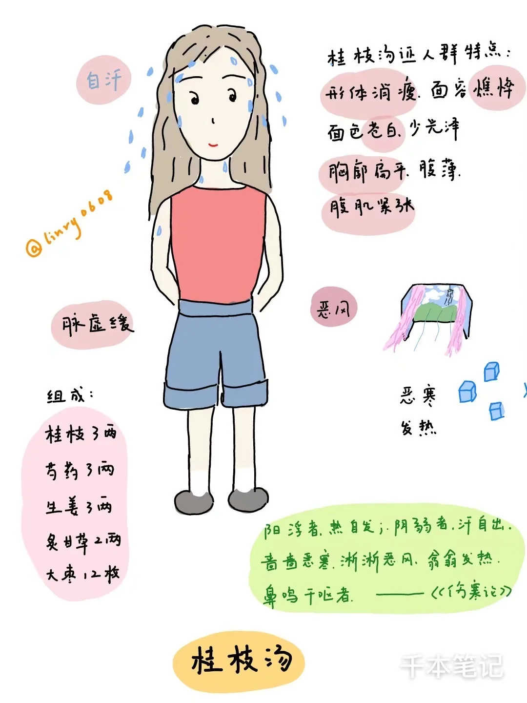 每日经方🌿第2期【桂枝汤】