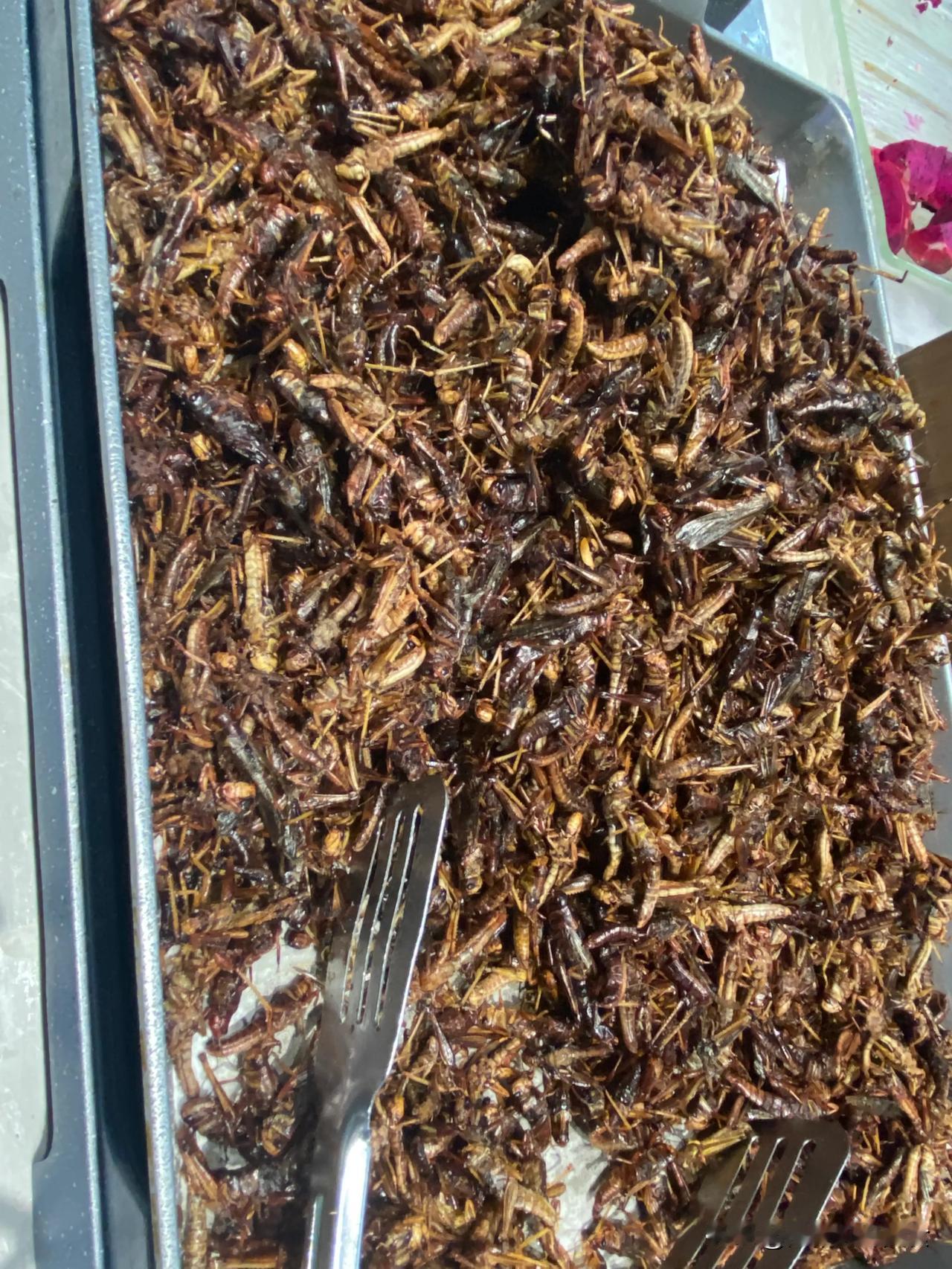 国庆出游到山东，一路上还算好，不算拥堵。
开到了山东蒙阴，吃了当地的自助餐，才5