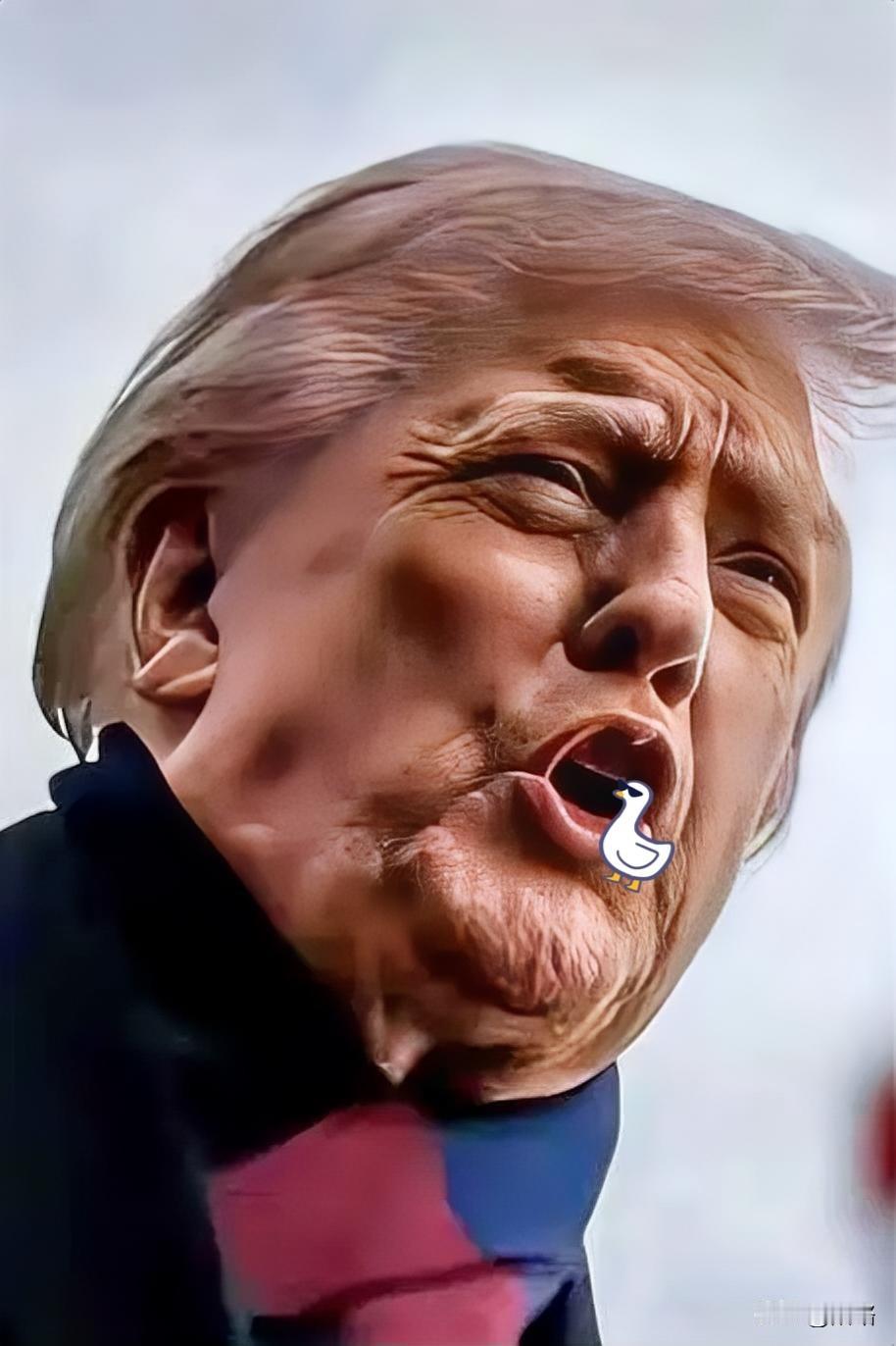 果然，特朗普按捺不住，
再给黎智英求情：他年纪大，身体扛不住了
12月15日，特