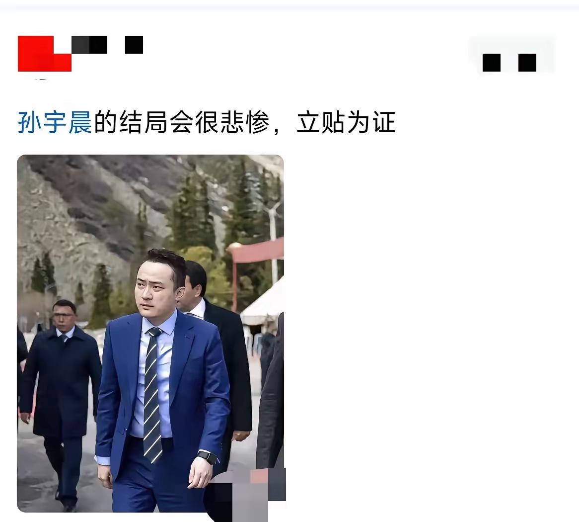 孙宇晨结局如何，我不知道，我只知道，他现在已经是臭名远扬了！

“图侵删”