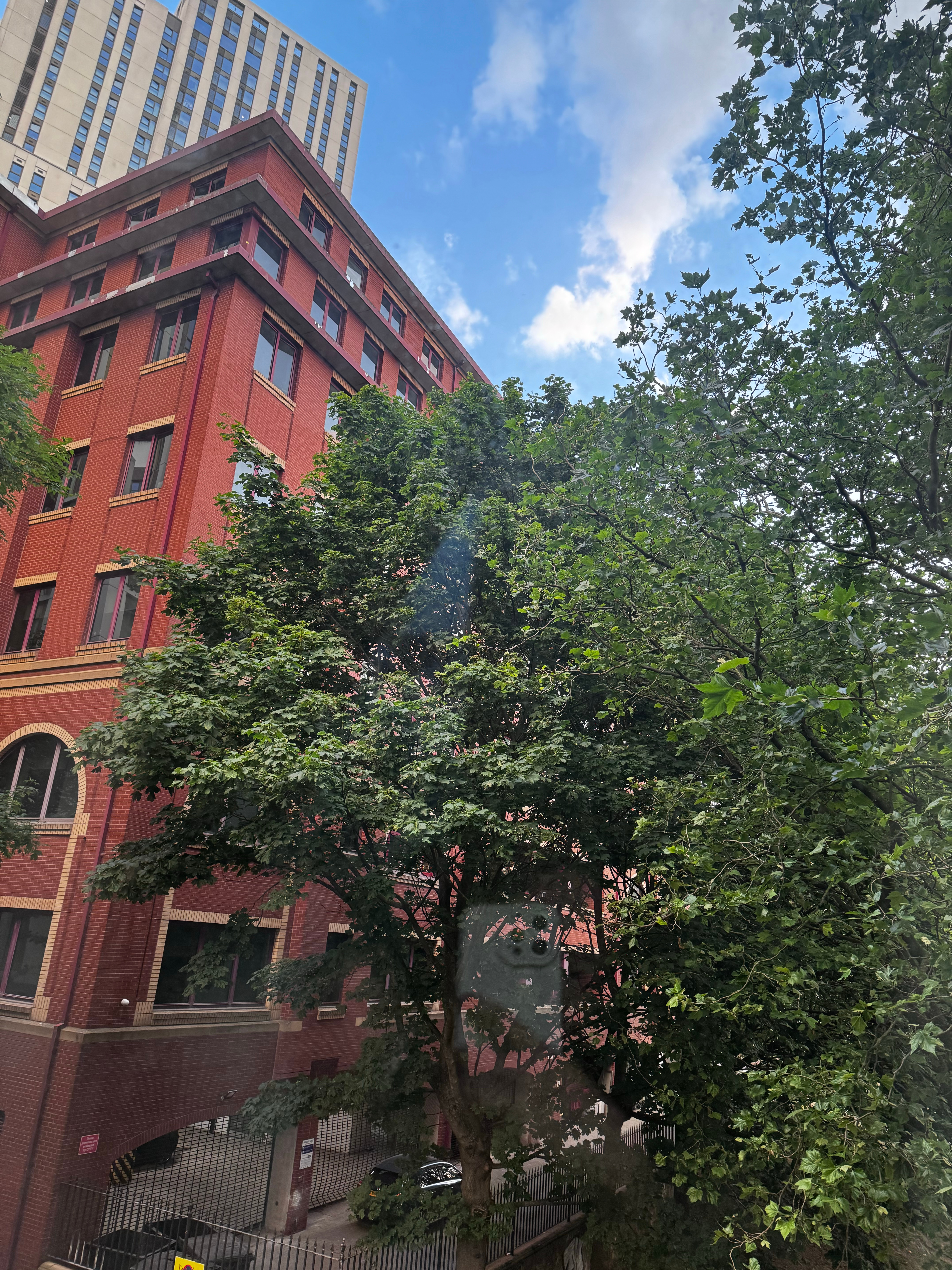 夏令时十点多才天黑，两点多准备睡觉…躺到凌晨三点多天亮了。早上四点比大白天还亮夏