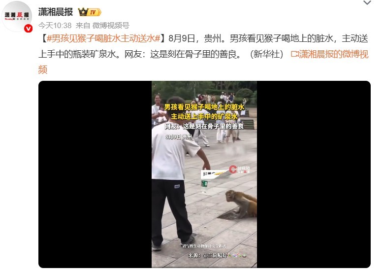 男孩见猴子喝脏水主动送水 虽为男孩的善良点赞，但不赞成他的做法。一是给野生猴子投