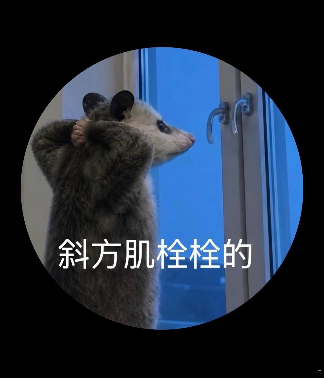怎么会这么困啊我昨晚干啥了 