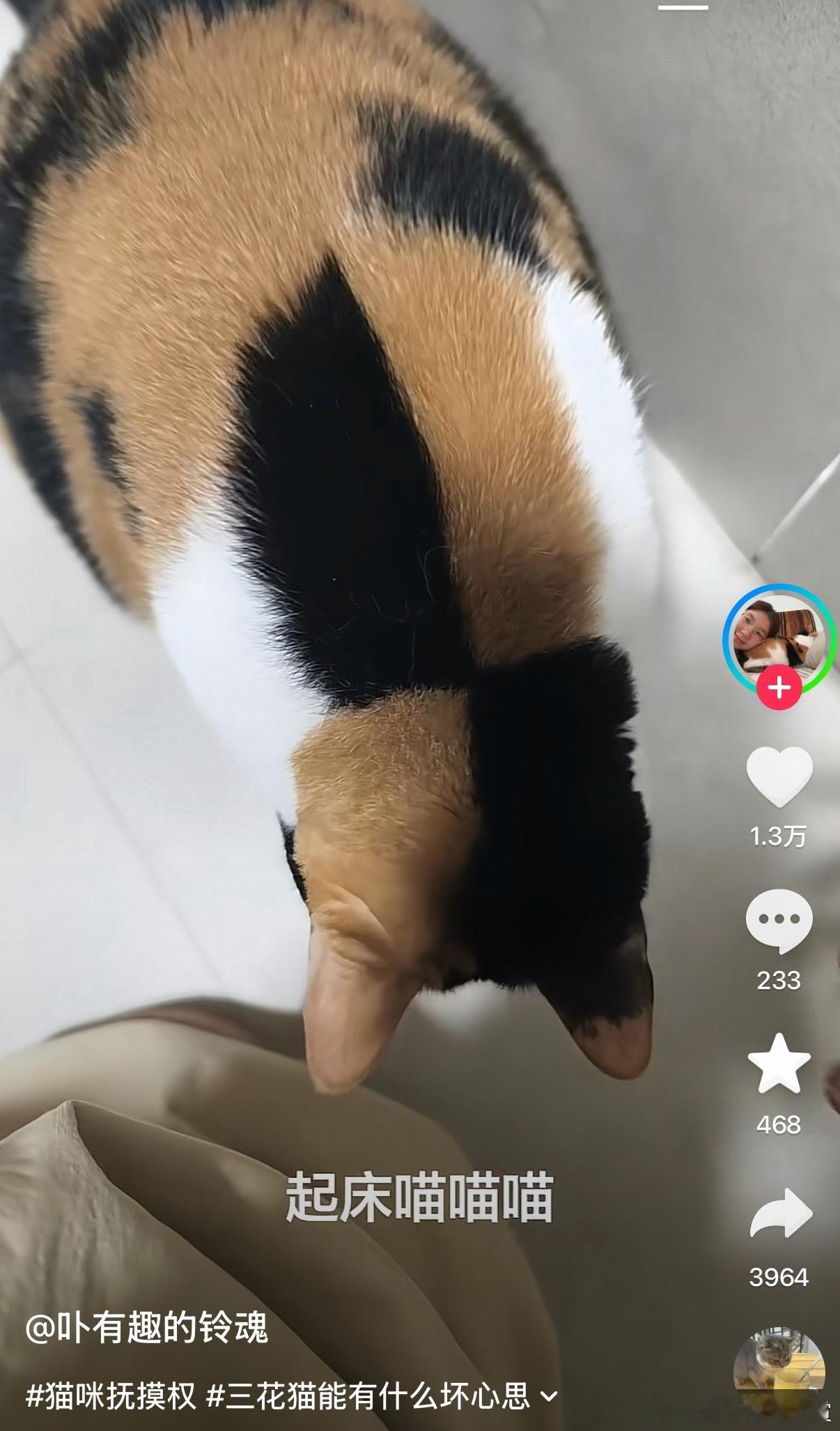 我第三象限痒痒 ​​​