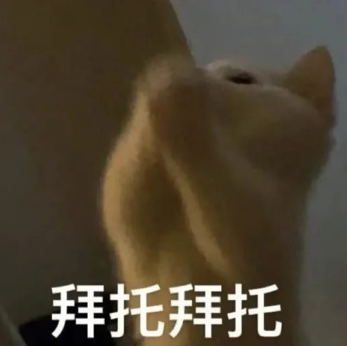 友友们，替樱子娘求一下昨晚三个饭撒高清视频🥺忙着和贺峻霖互动没拍上，大家有刷到