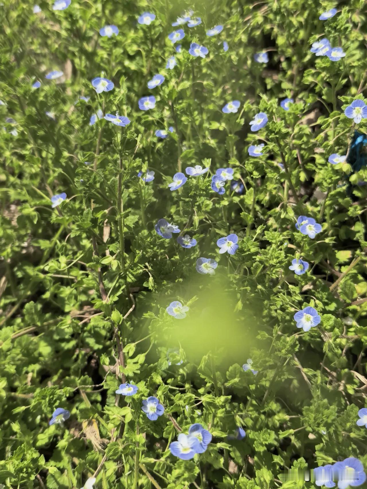 不纠结过往，不焦虑未来，在剩下的时光里稳住心态做自己，相信时光自有馈赠，想要的美