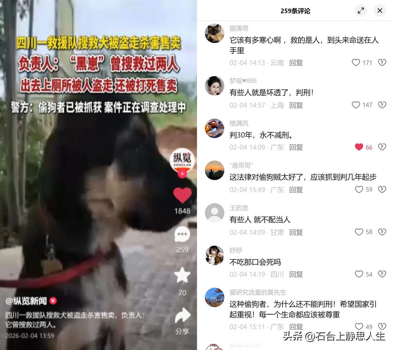 救过人的功勋搜救犬，被偷杀卖肉

这是四川金堂民间救援队的黑崽，才11个月大
