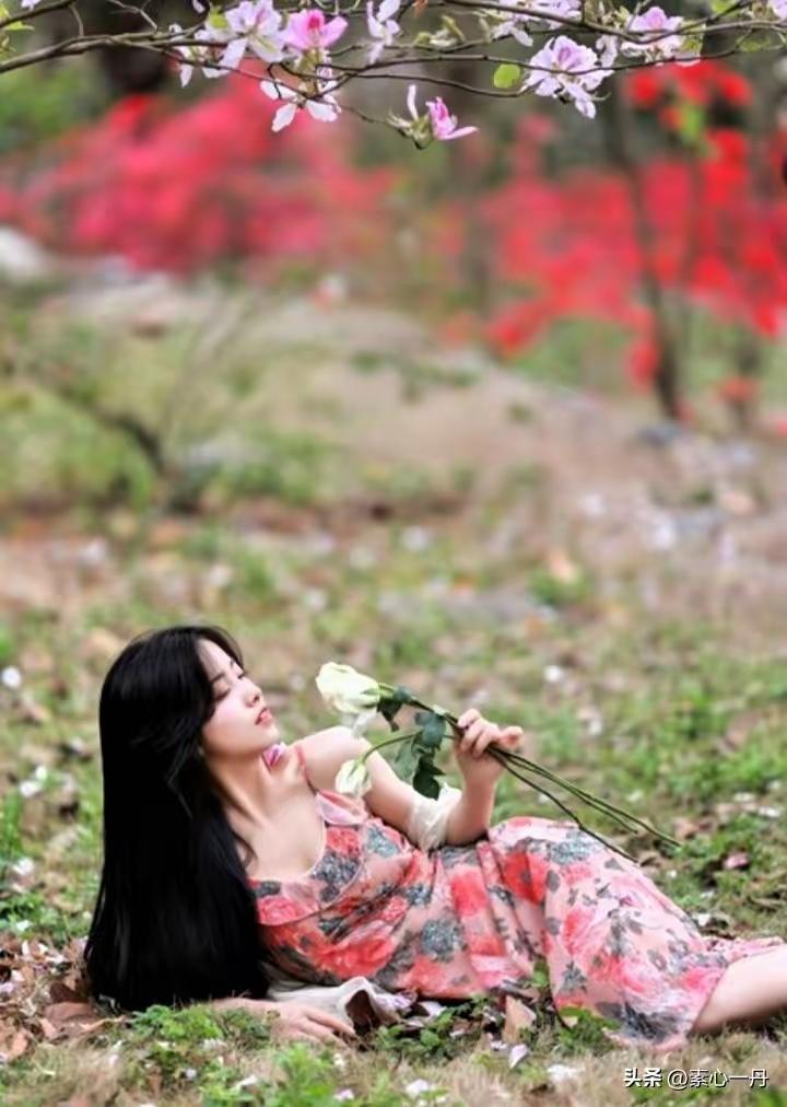 捣练子·醉卧春香
花似锦，草如茵，
醉卧芳丛香满身。
偷取春风三分韵，
一襟清艳