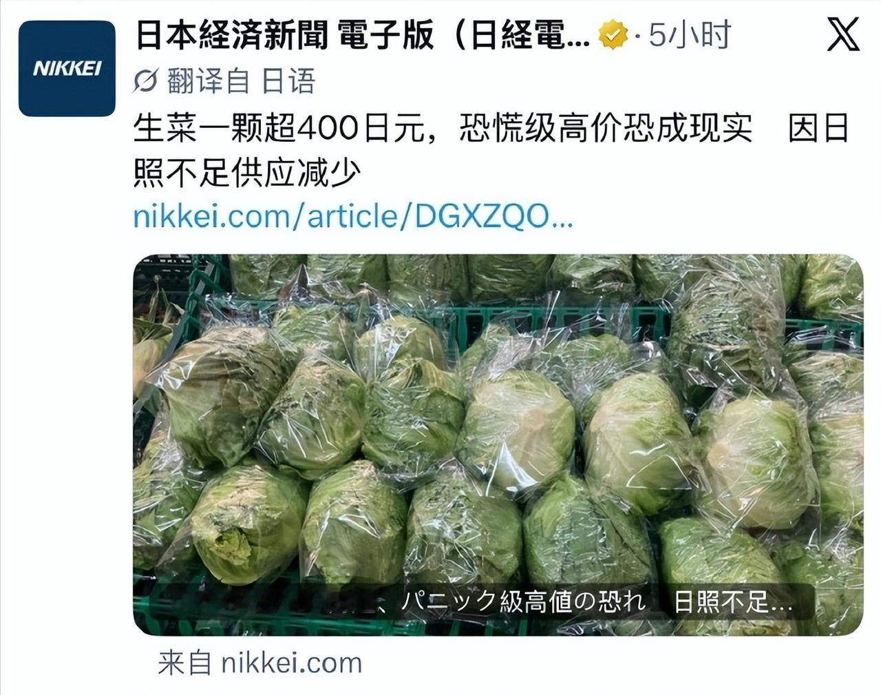 日本人快连生菜都吃不起了。
日本网友分享他在超市购物时的生菜价格，
一颗生菜的价