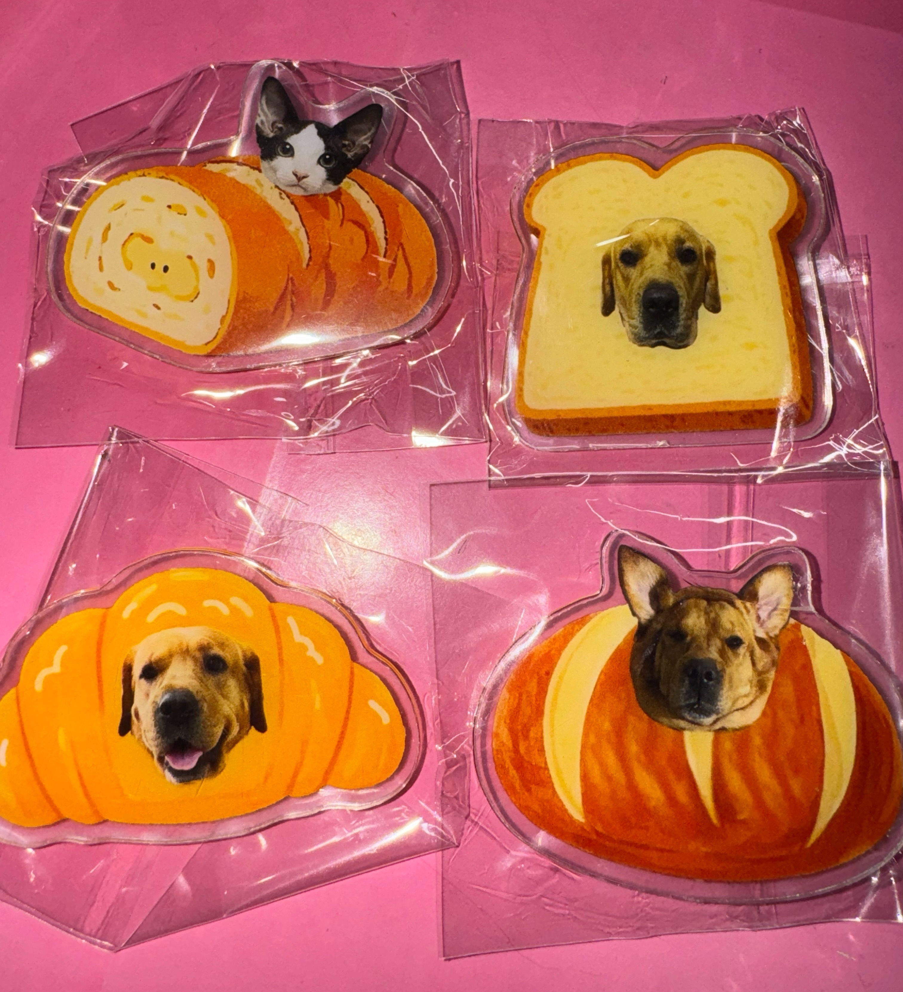 黑糖啵啵这个萌 