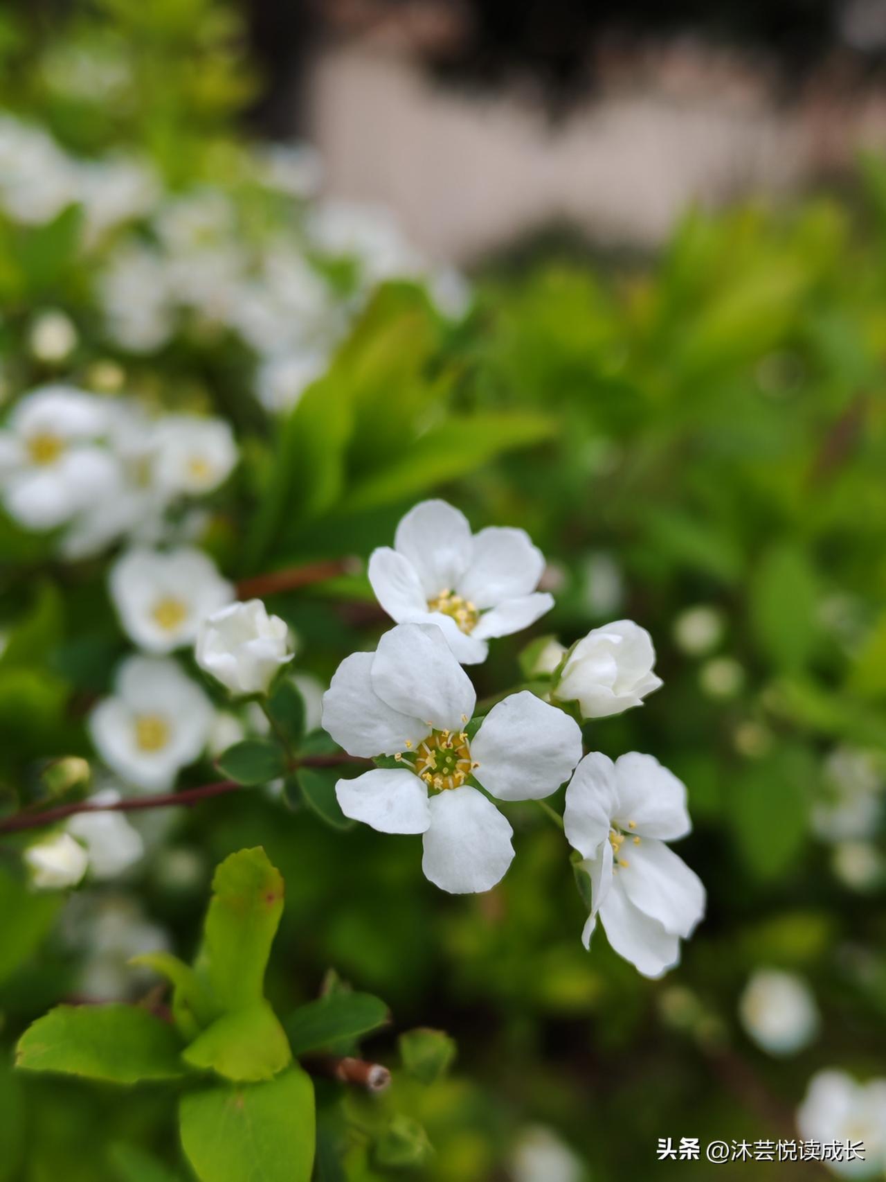 人到五十几岁，才真正体会到什么叫不上不下，心一直悬着。
 
有人说人生是一场难得