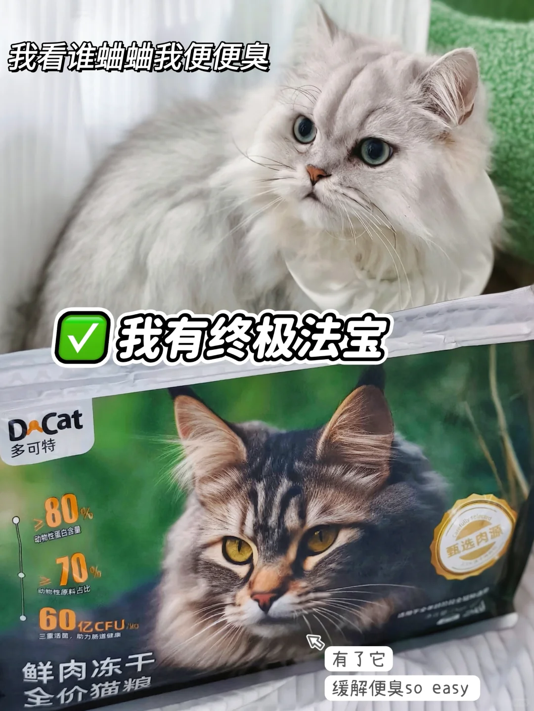 我发4️⃣ 从今起不再做便臭小猫