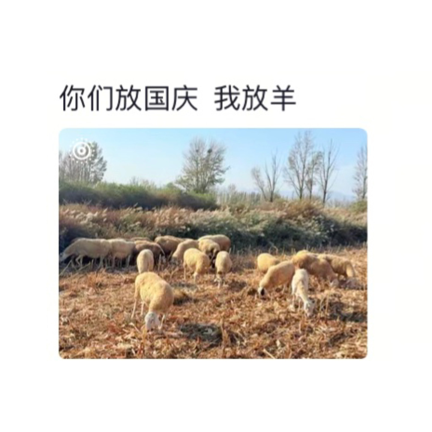 放假就是换个地方干活[允悲] ​​​