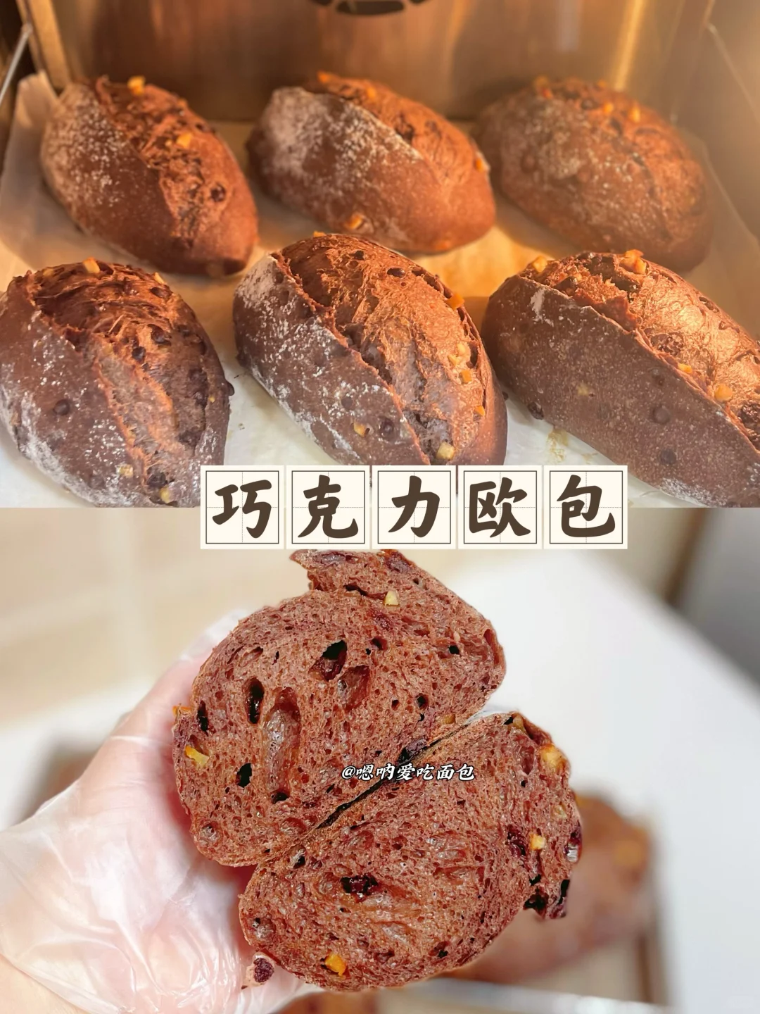 冷藏发酵巧克力欧包无油、无糖哏啾啾