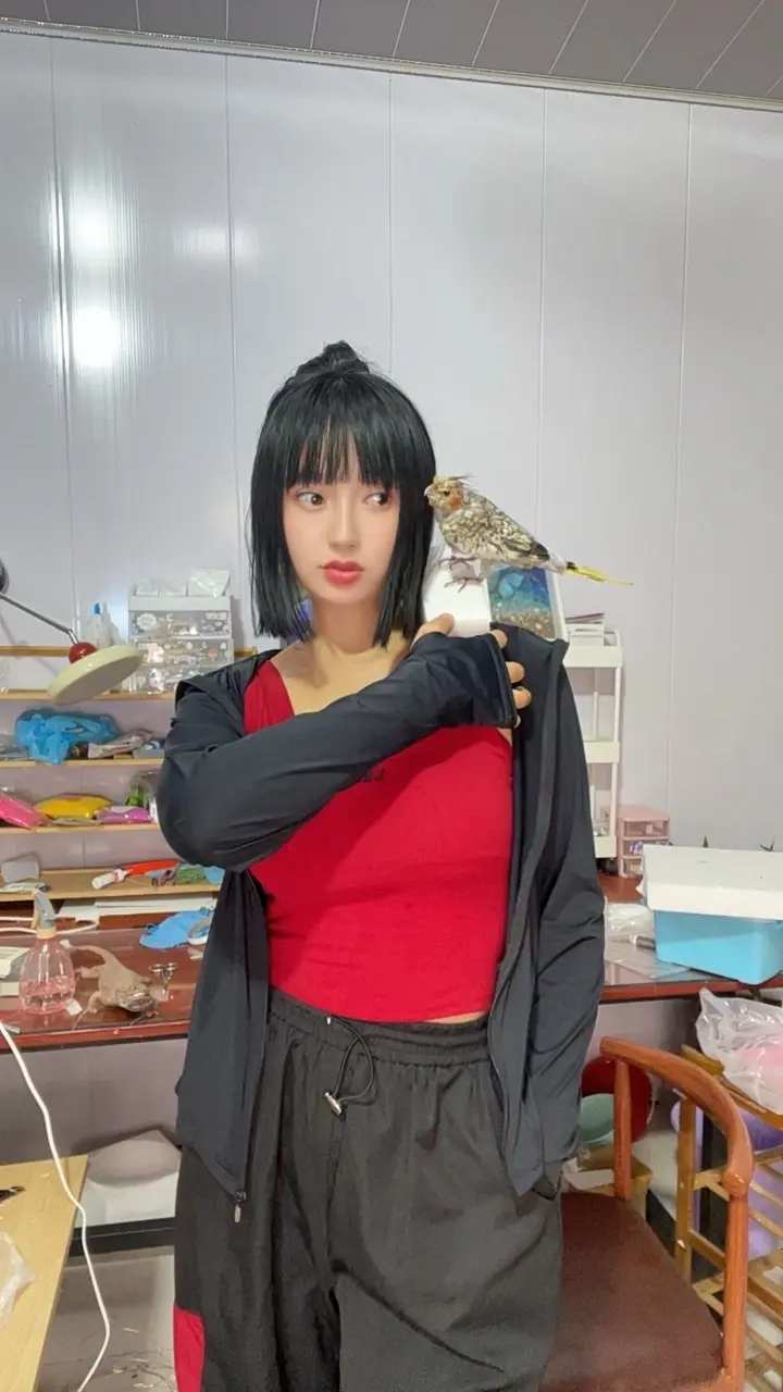 定格生灵，收藏万物