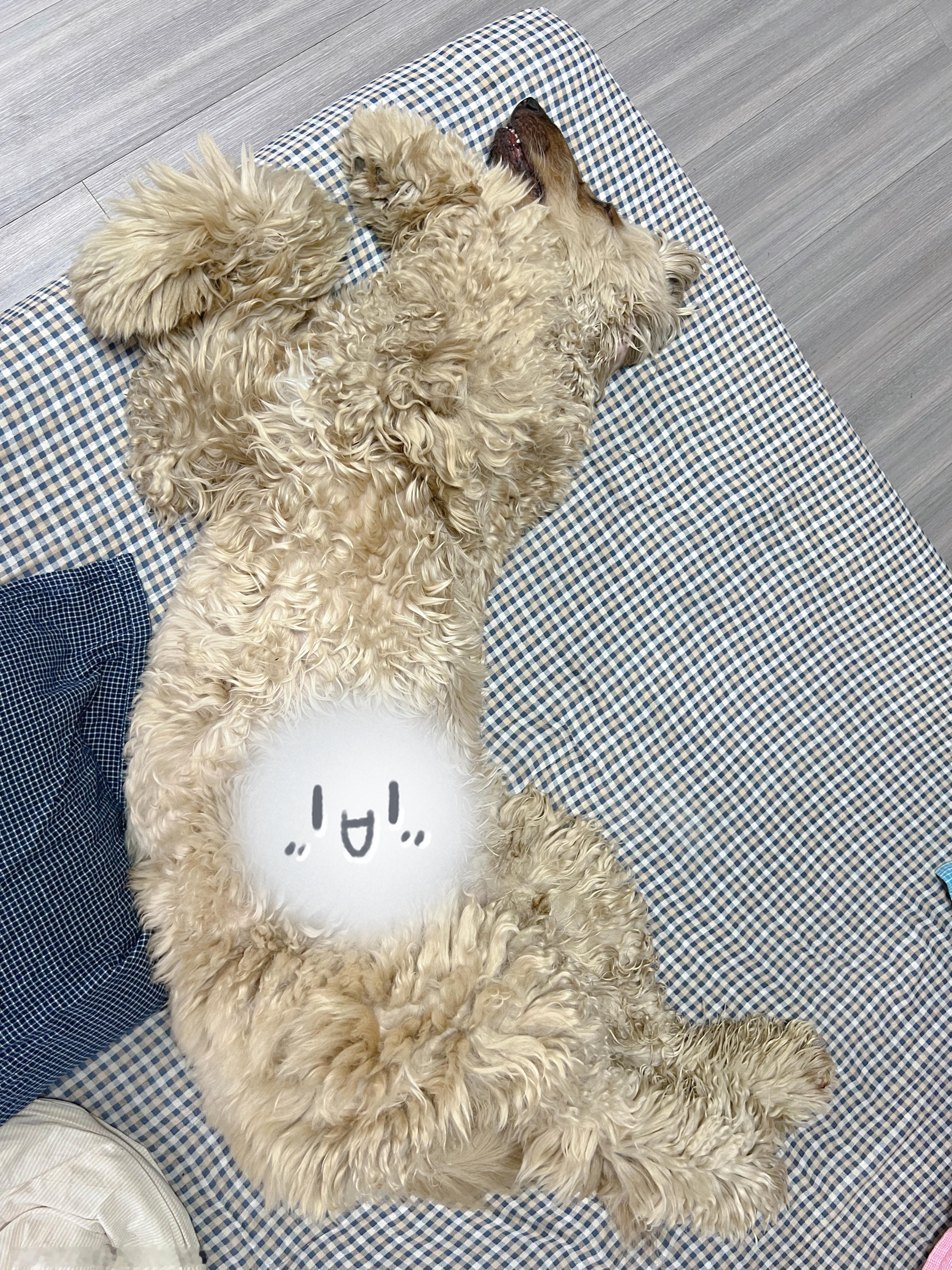 儿啊你这样真的舒服吗…… ​​​