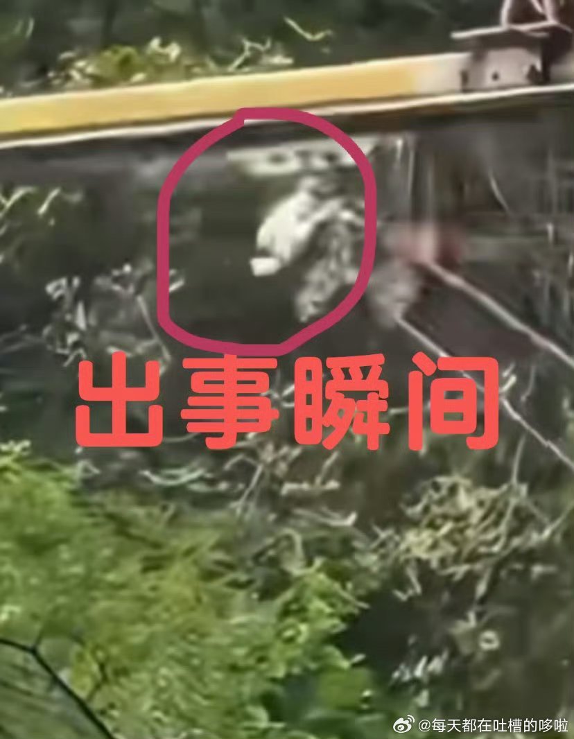 女游客秋千坠亡家属已和解16岁的女孩子，家人如此快速达成和解……看来数字满意了 