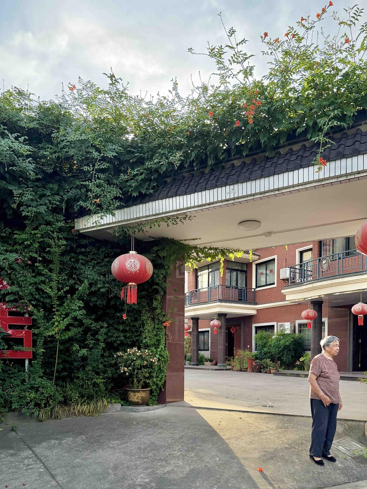 28岁建筑学硕士，裸辞回村，接手老爸500m²自建房，浙江一女子晒出自己家，学了