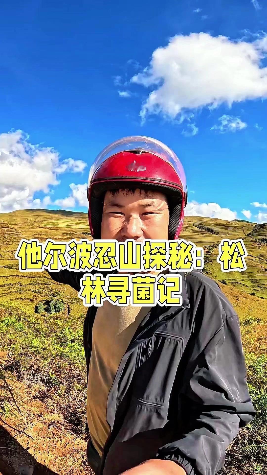 🌲高海拔山林探秘，意外收获惊喜！习惯进山就找菌子，今天来到塔尔波忍山。先骑摩托