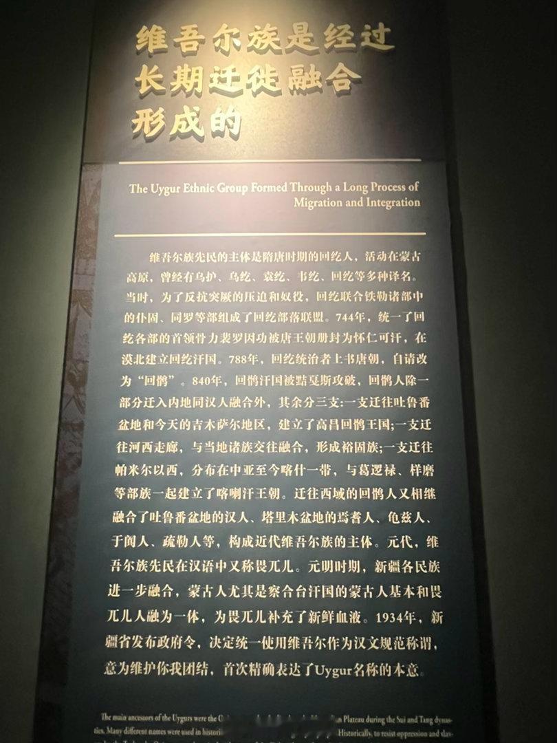 维吾尔，这个名字确实翻译得非常妙。维护你我，共同团结。声音上也完美契合其自称 U