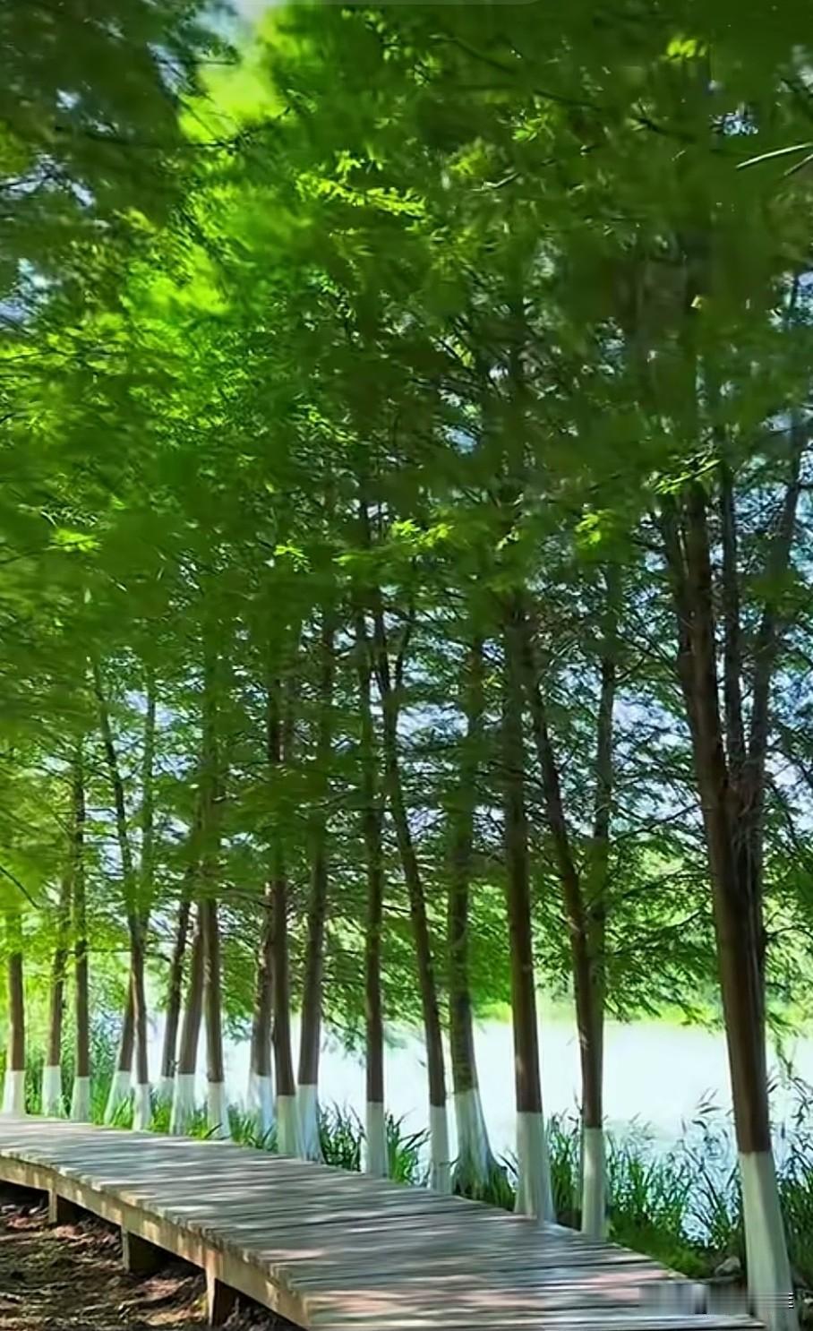 需求和供给是市场的两大基石，而政府则像是裁判员，有时也下场当球员。这三者的关系，