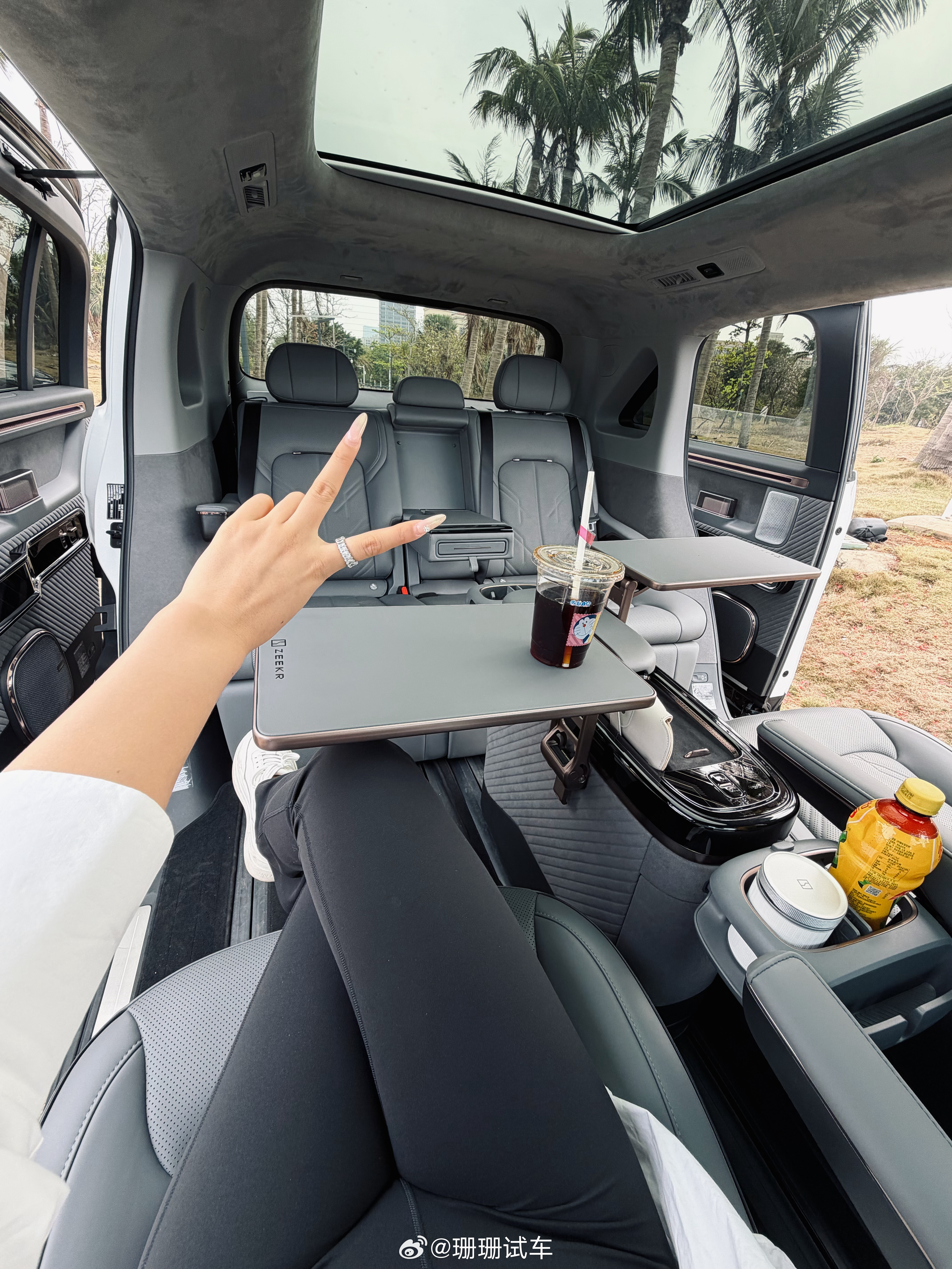 宝宝巴士🚌当工作车简直不要太爽我的日常plog珊珊试车极氪mix 海口