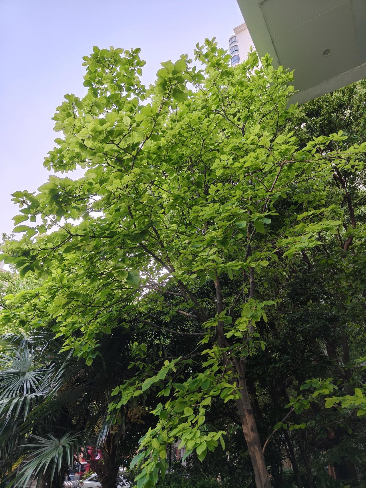 💪以劳动筑梦，以耕耘前行
世间万般美好，皆为双手耕耘而来

👷致敬每一位脚踏