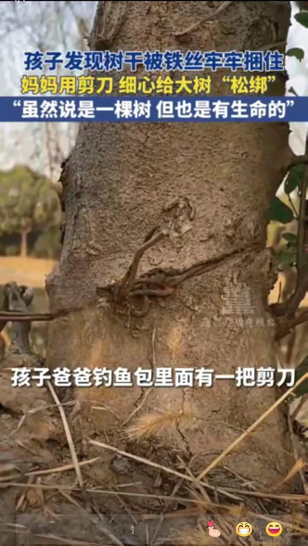 你只管善良，福报就在路上……

女子一家去钓鱼，孩子发现树根处有铁丝捆绑，他说：