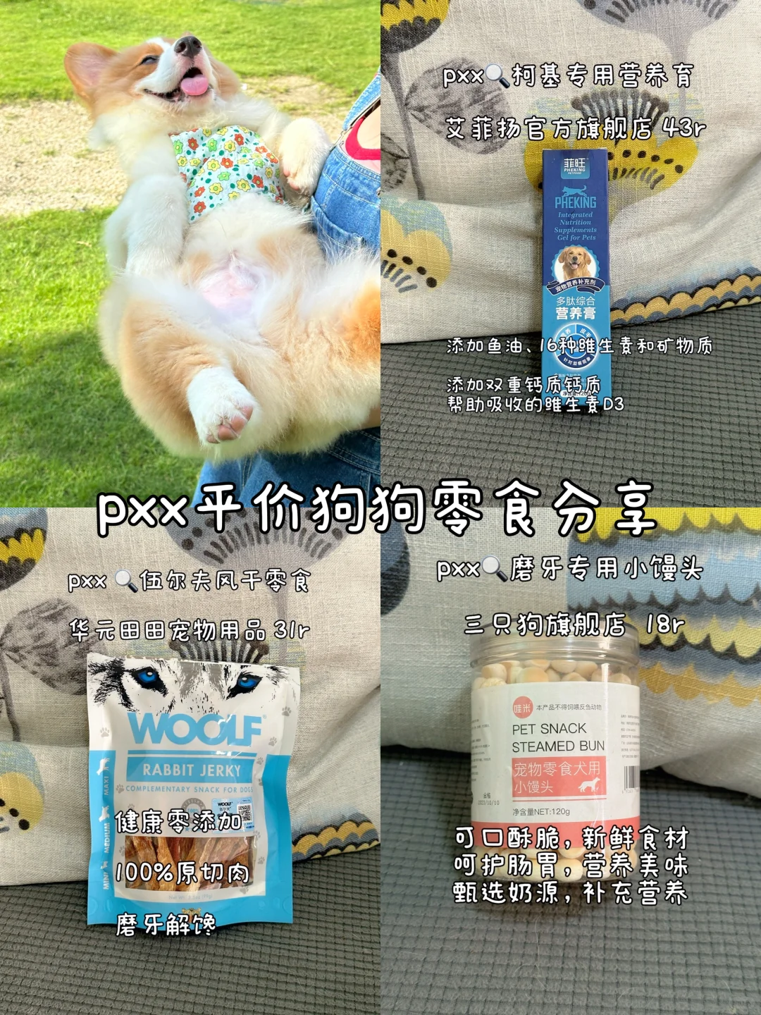 狗狗营养平价零食分享